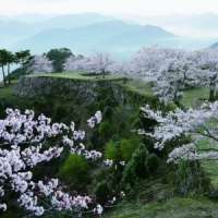 Asien Kreuzfahrten zur Kirschblüte